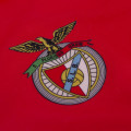 Camisola retro SL Benfica 1992-93 emblema